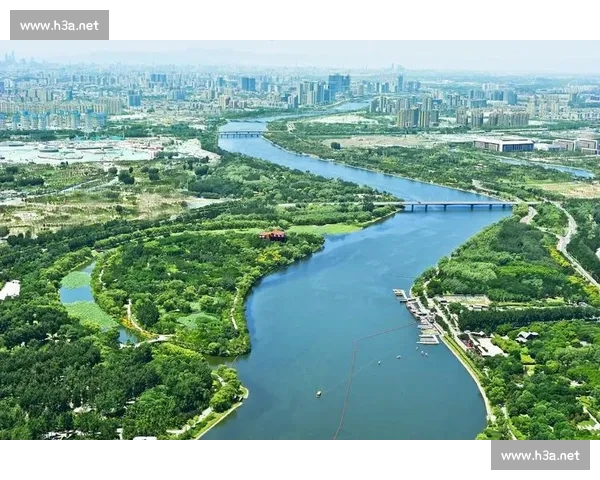 以体育官网APP为核心打造全民运动服务新生态综合平台体系 以体育官网APP为核心打造全民运动服务新生态综合平台体系